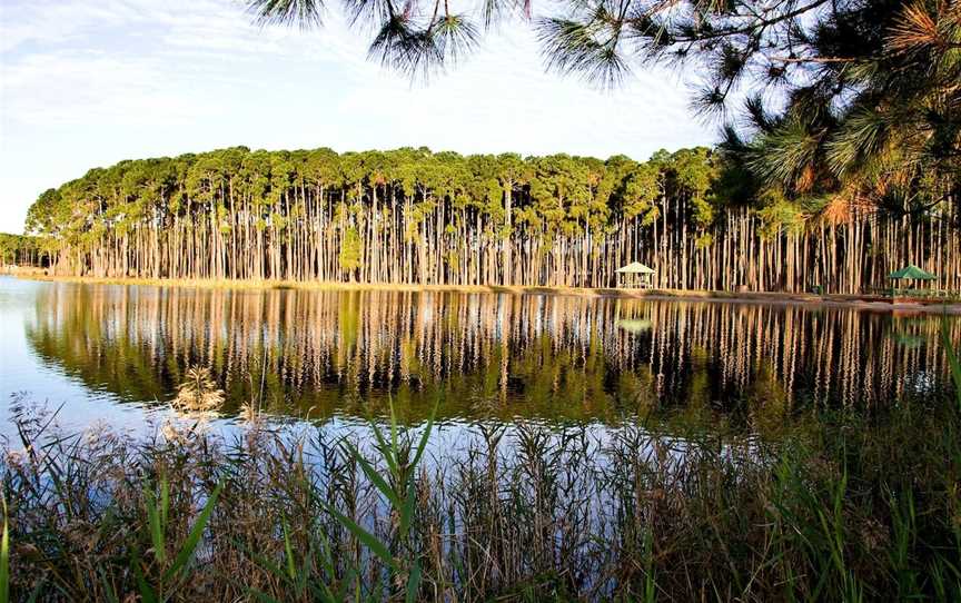 Pizzey Park, Mermaid Waters, QLD