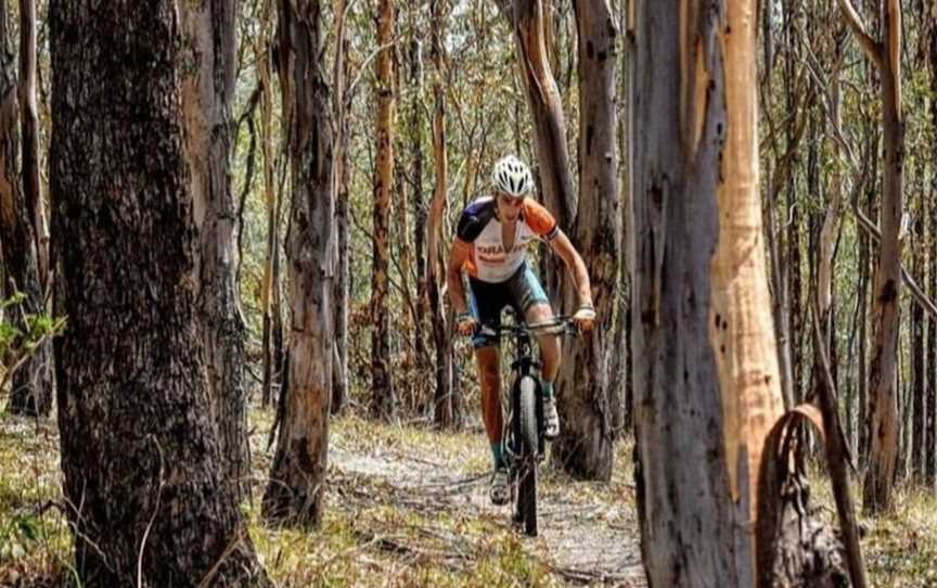 Dungog Common Recreation Reserve, Dungog, NSW