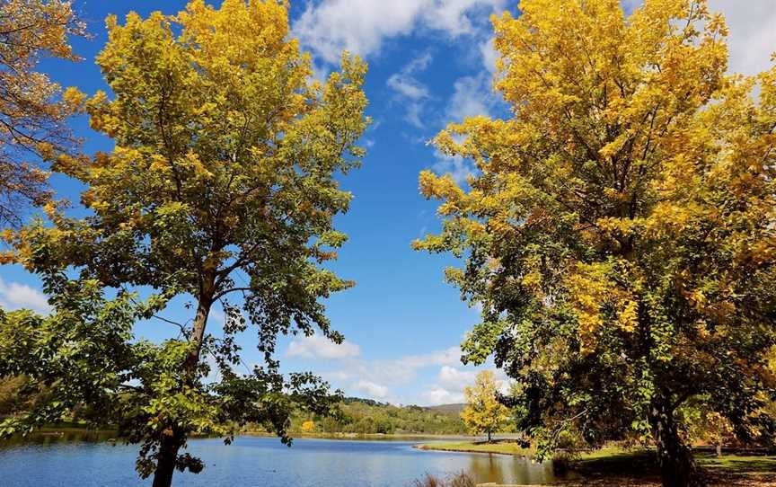 Lake Canobolas Reserve, Nashdale, NSW