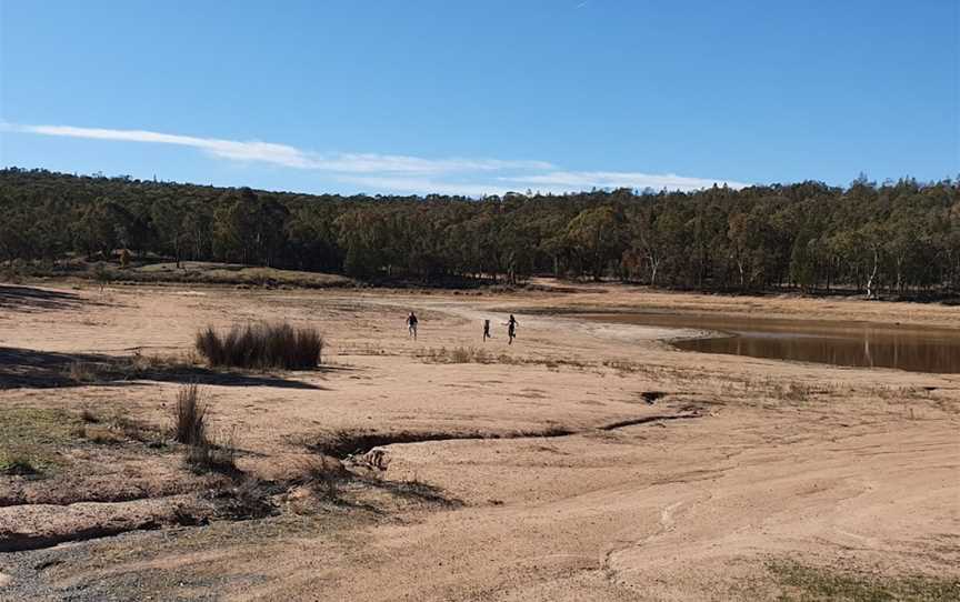 Company Dam, Grenfell, NSW