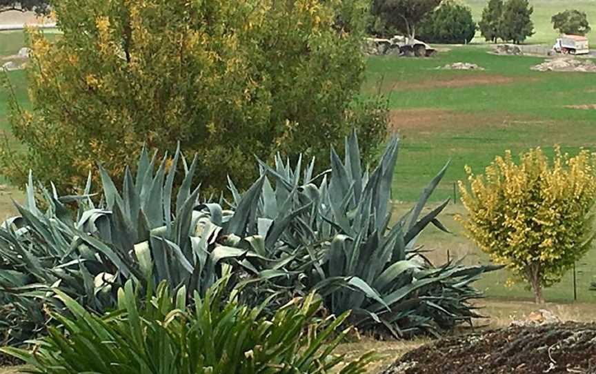 Clifton House and Gardens, Maimuru, NSW