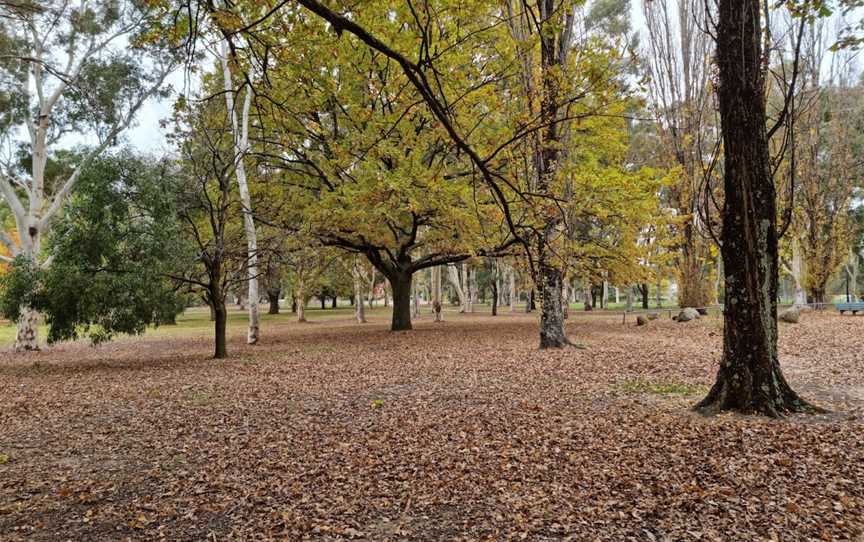 Elephant Park, Orange, NSW