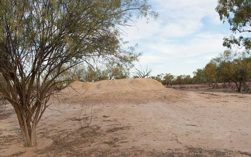 Mud Springs, Eulo, QLD