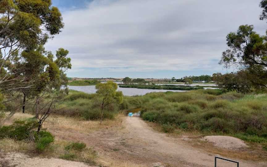 Swanport Wetlands, Murray Bridge, SA