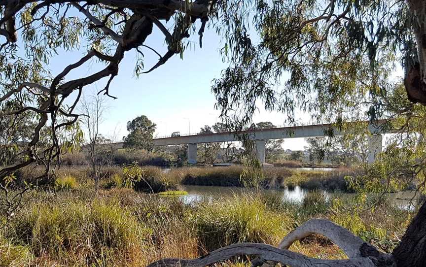 Swanport Wetlands, Murray Bridge, SA