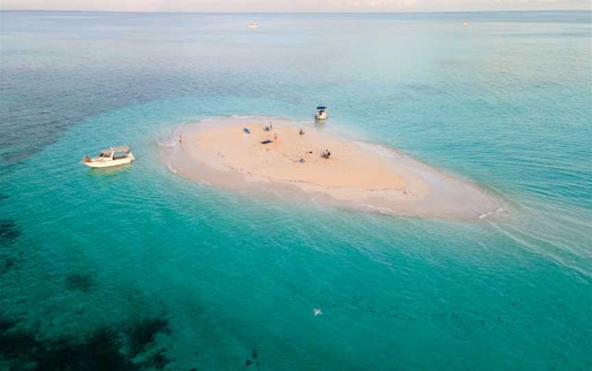 Vlasoff Cay, Aeroglen, QLD