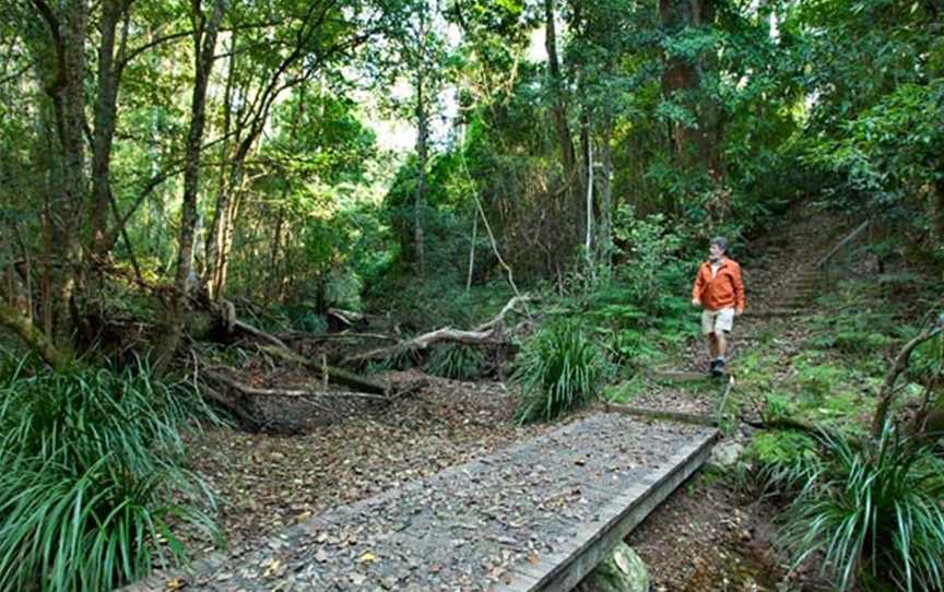 Cedar Park picnic area, Allgomera, NSW