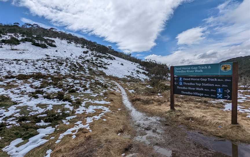 Dead Horse Gap walking track, Thredbo, NSW