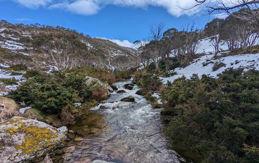 Dead Horse Gap walking track, Thredbo, NSW