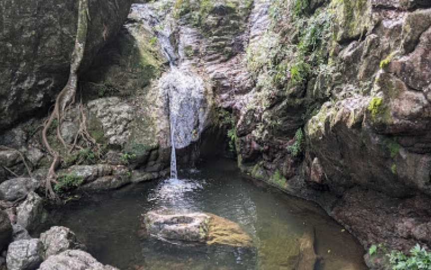 Amamoor State Forest, Amamoor, QLD