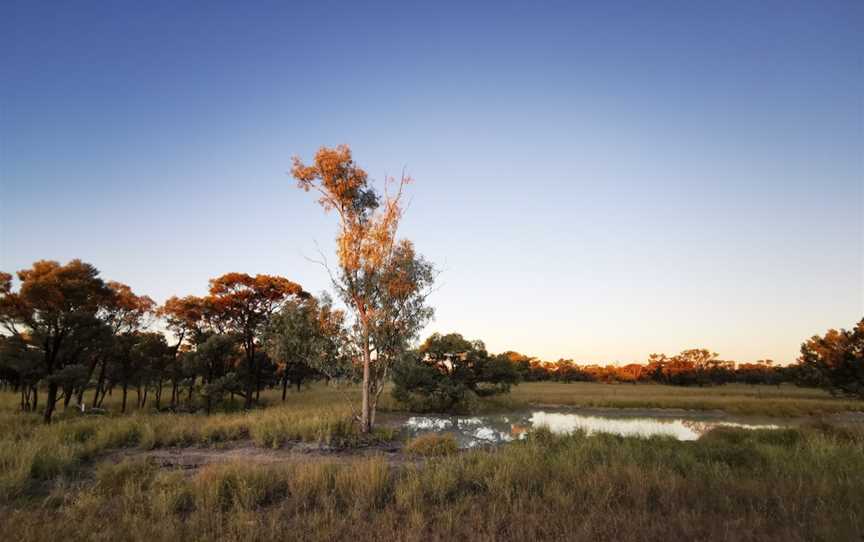 Moorrinya National Park, Hughenden, QLD