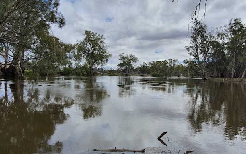 Yanga Woolshed picnic area, Balranald, NSW