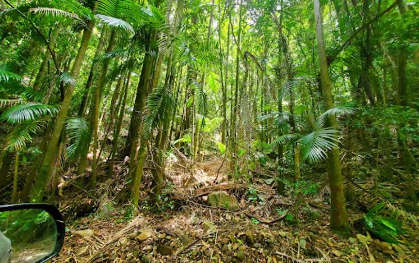 Willi Willi National Park, Banda Banda, NSW