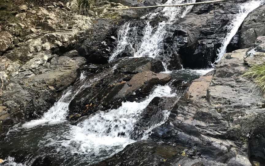 Bangalore Falls Walking Track, Brooklana, NSW