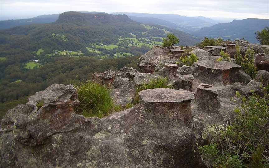 Barren Grounds Nature Reserve, Barren Grounds, NSW