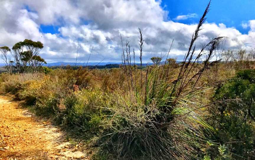 Barren Grounds Nature Reserve, Barren Grounds, NSW