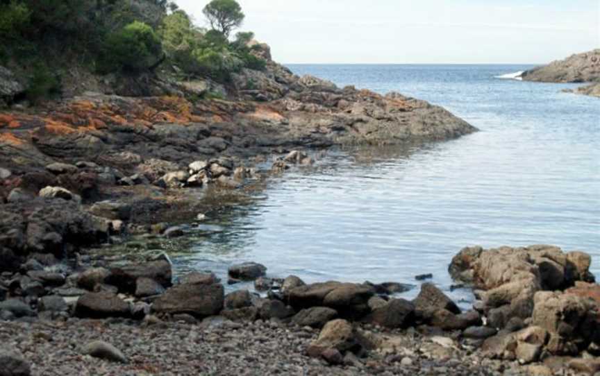 Bass Point Reserve, Shellharbour, NSW