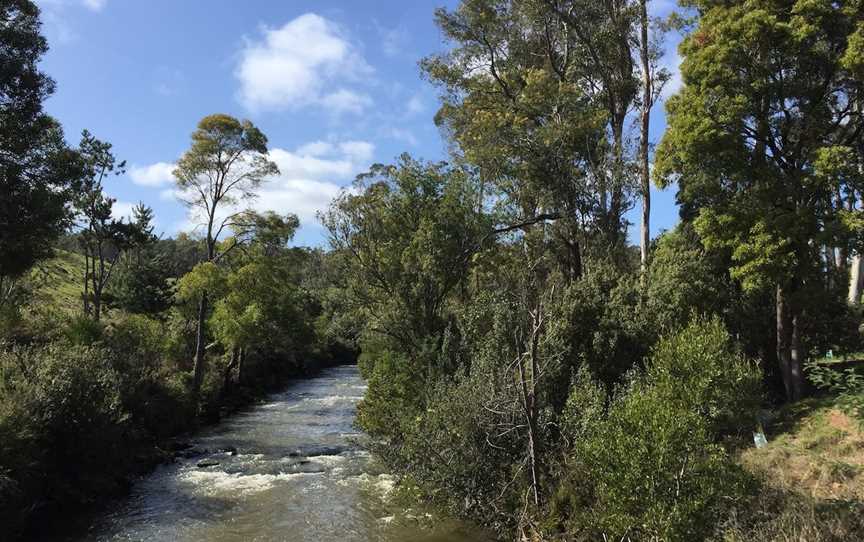 Pipers River Board Walk, Pipers River, TAS