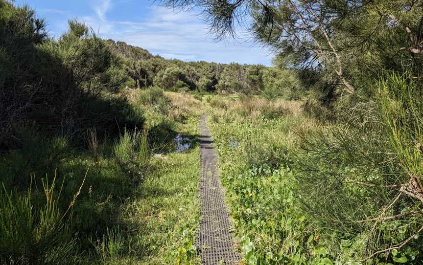 Murramarang Aboriginal Area, Bawley Point, NSW