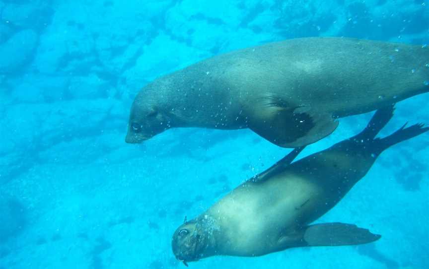 Batemans Marine Park and Sanctuary, Batemans Bay, NSW