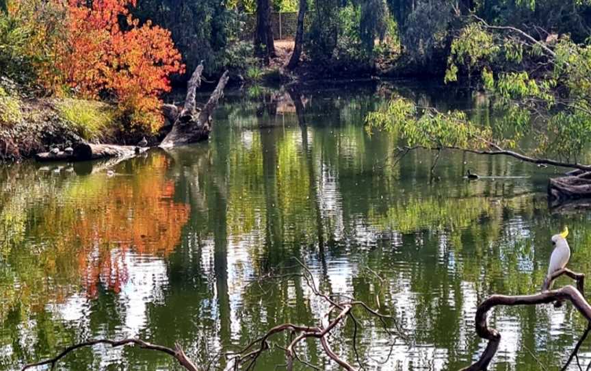 Wollundry Lagoon, Wagga Wagga, NSW