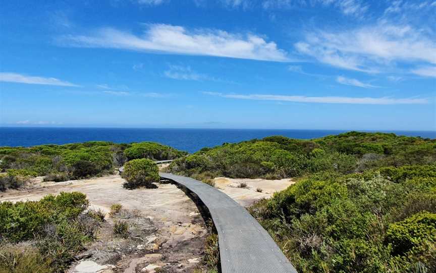 The Coast track, Bundeena, NSW