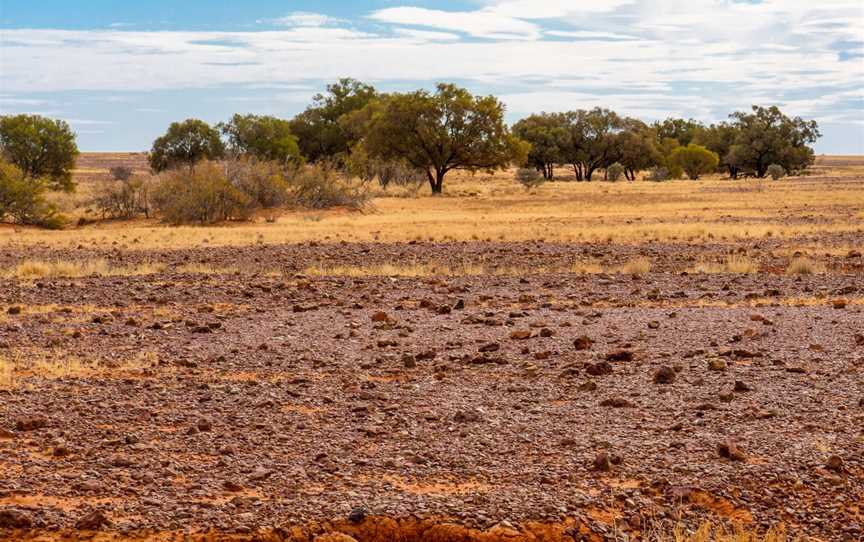 Diamantina National Park, Bedourie, QLD