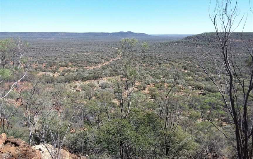 Idalia National Park, Blackall, QLD