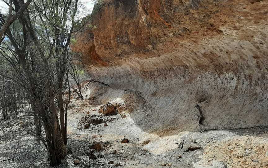 Idalia National Park, Blackall, QLD