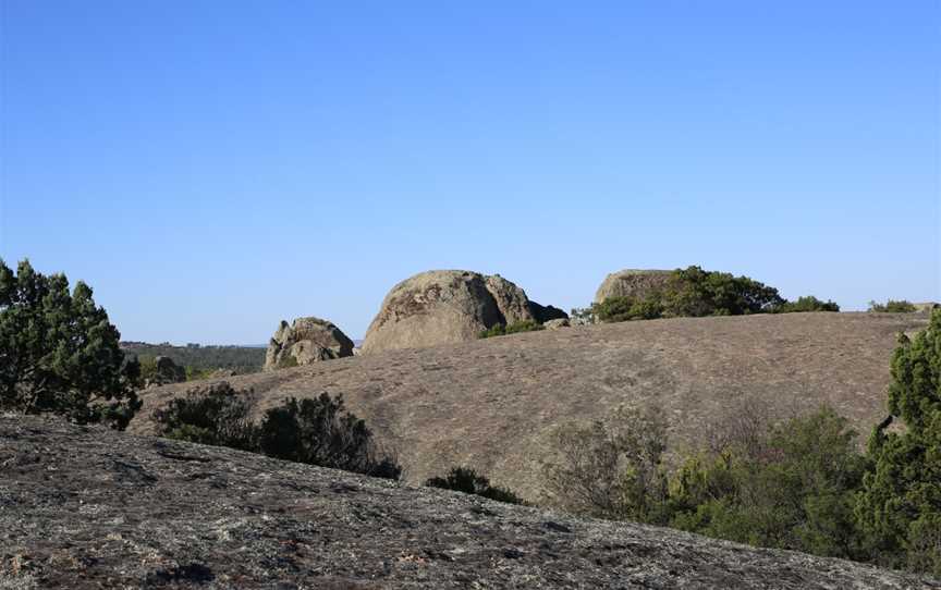 Terrick Terrick National Park, Mitiamo, VIC