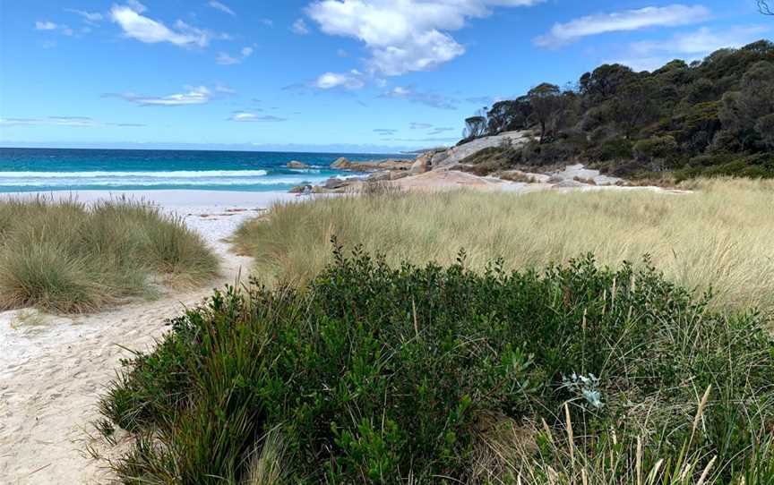 Binalong Bay - Jeanneret beach, Binalong Bay, TAS