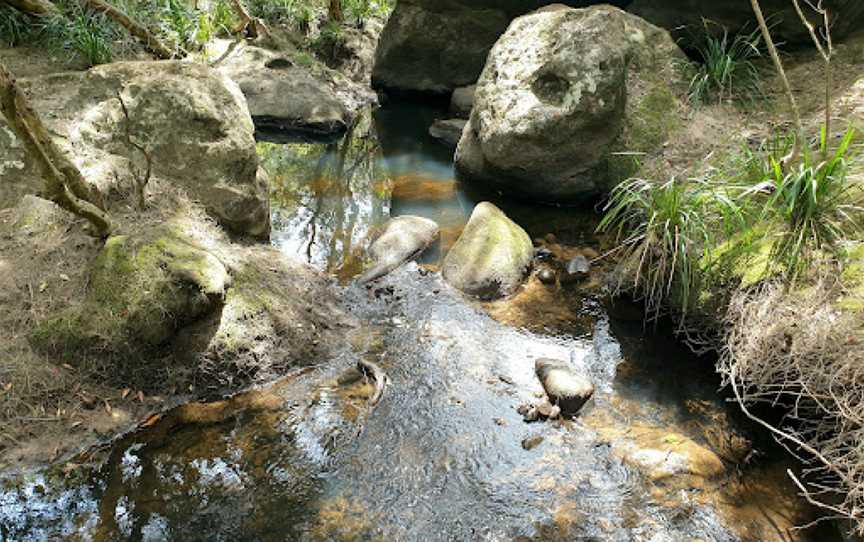 Bomaderry Creek Regional Park, North Nowra, NSW