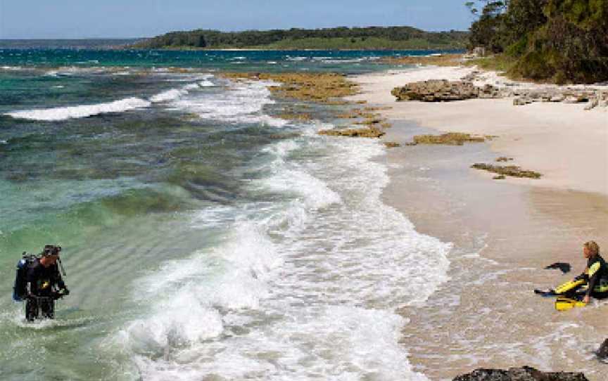 Booderee National Park: Munyunga Waraga Dhugan Walking Trail, Jervis Bay, NSW