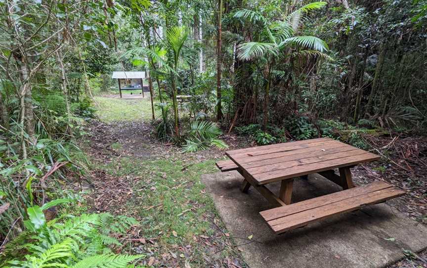 Grandis picnic area, Boolambayte, NSW