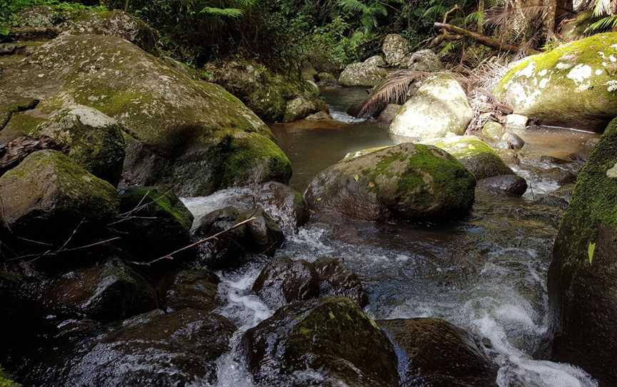 Brushbox Falls lookout, Border Ranges, NSW