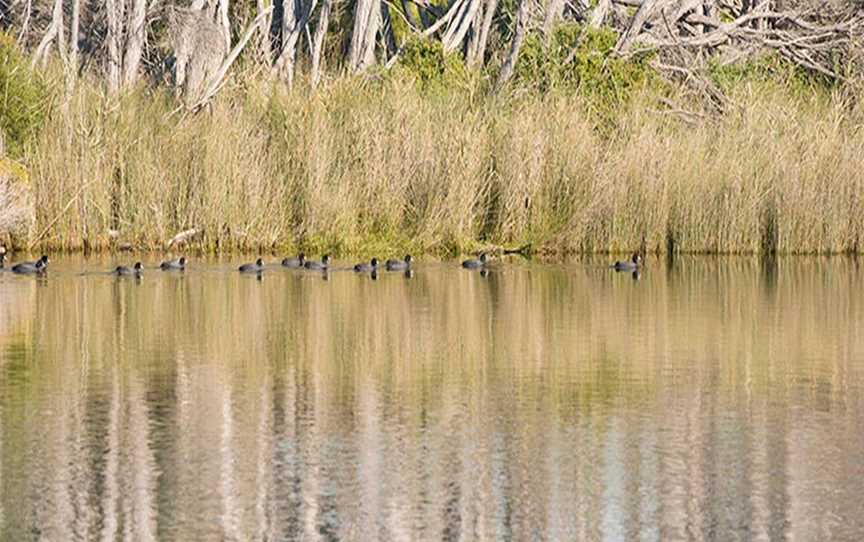 Bournda Lagoon, Bournda, NSW