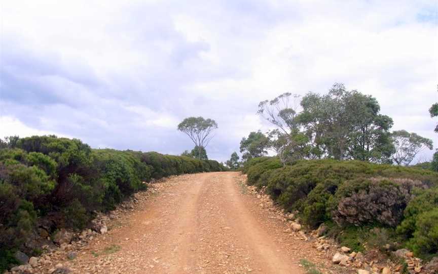 Wadbilliga National Park, Brogo, NSW