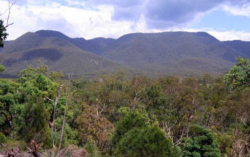 Wadbilliga National Park, Brogo, NSW