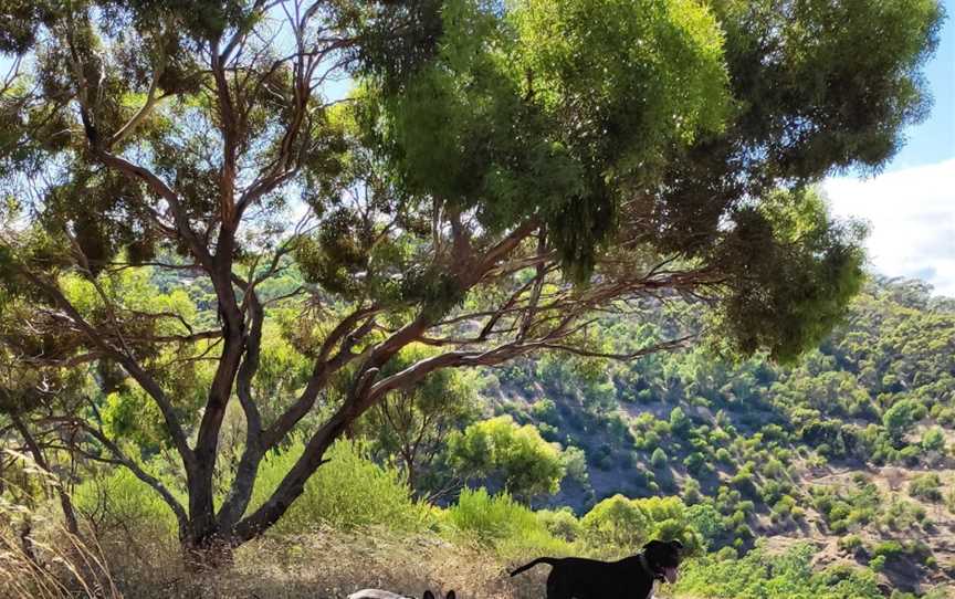 Sturt Gorge Recreation Park, Flagstaff Hill, SA