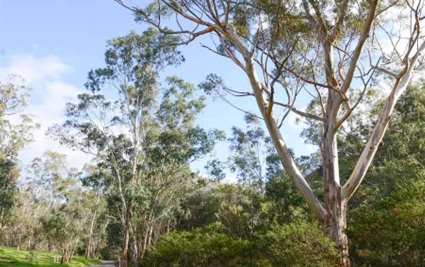 Brownhill Creek Recreation Park, Adelaide, SA