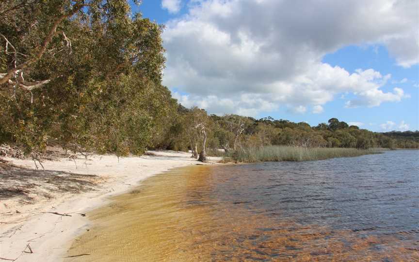 Brown Lake, North Stradbroke Island, QLD