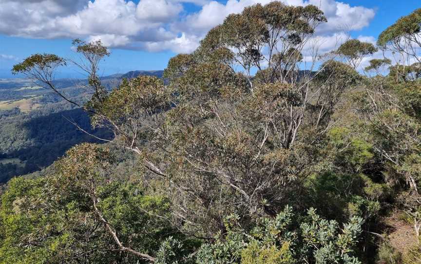 Jamberoo lookout, Budderoo, NSW