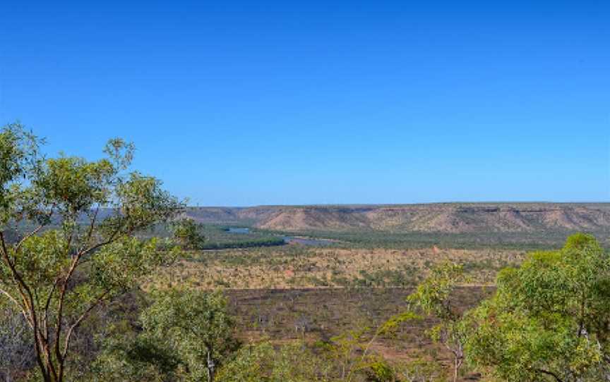 Drover’s Rest Boab Trees, Bullita, Timber Creek, NT