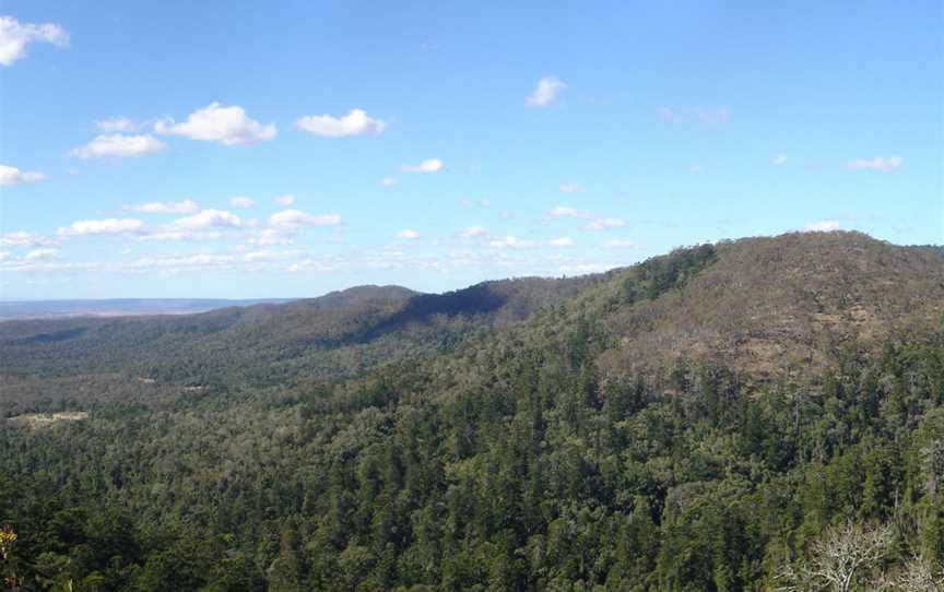 Bunya Mountains National Park, Bunya Mountains, QLD