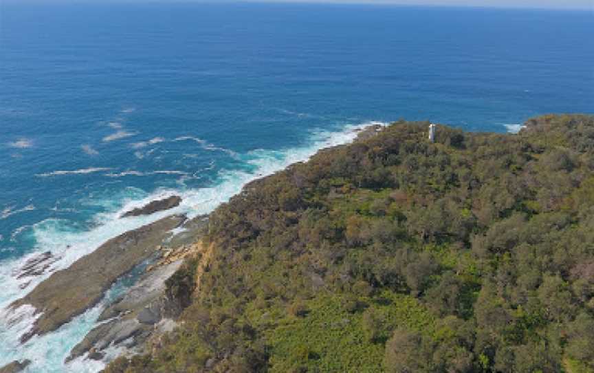 Burrewarra Point Banksia Walk, Guerilla Bay, NSW