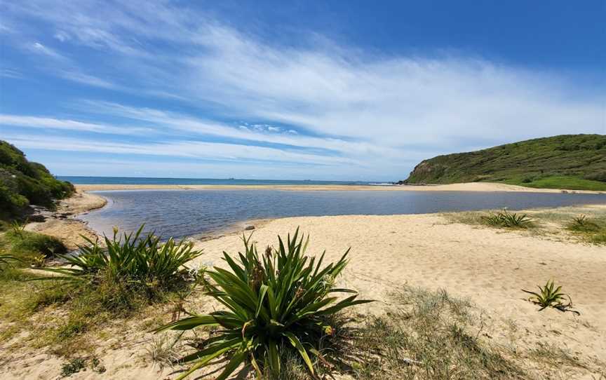 Yuelarbah Walking Track, Whitebridge, NSW