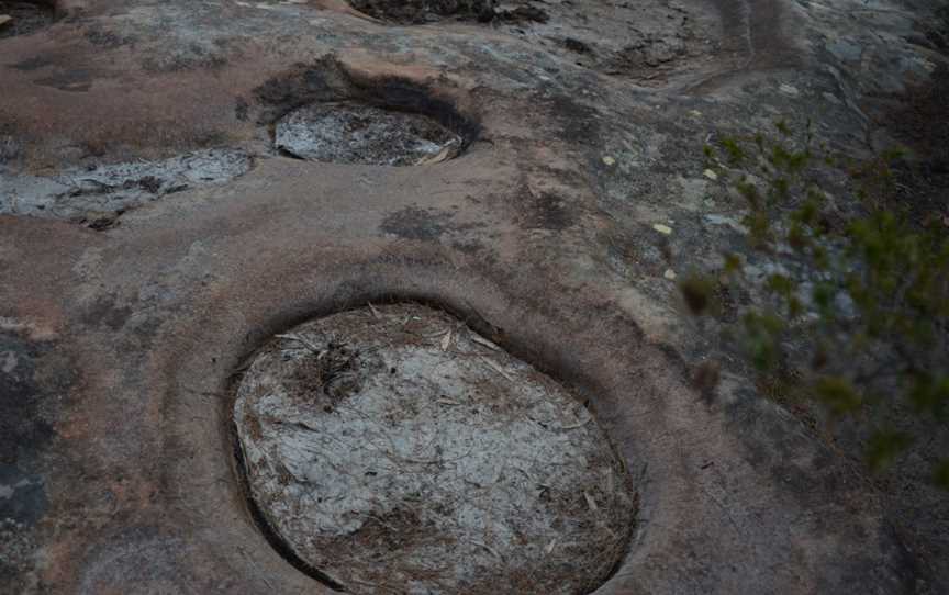 Cambewarra Range Nature Reserve, Red Rocks, NSW