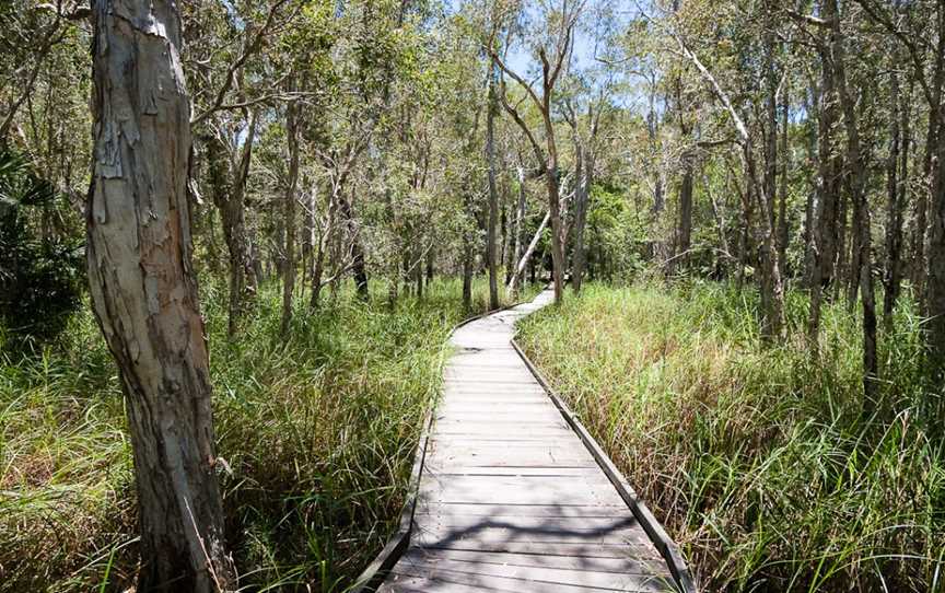 Burrum Coast National Park, Bundaberg, QLD