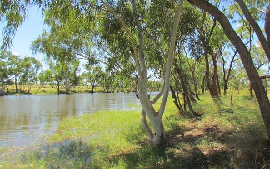 Wiliyan-ngurru National Park, Camooweal, QLD