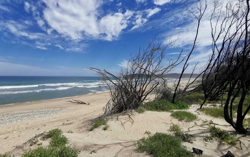 Cape Conran Coastal Park, Cape Conran, VIC